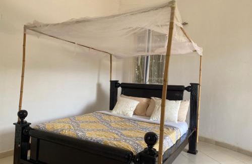 Bwindi Hotel | Cozy Rafiki Safari Lodge Bwindi: Pet-Friendly Retreat