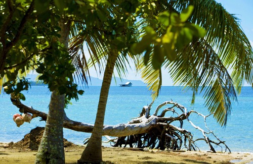 Teahupoo Apartment | Guest Rated 10/10: RAIATEA - Studio Tenape with Spa