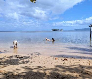 Teahupoo House | RAIATEA - The Beach House with Private Lagoon Access