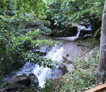 Ringlet Cabin | Relax at Rain Forest Inn: Rated 9/10 with Hot Tub & Breakfast