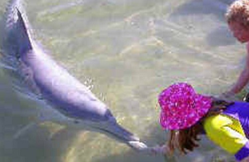 Cooloola Cove House | Rainbow Cooloola Cove Retreat - AWESOME VALUE