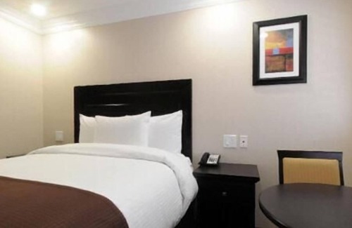 Downtown Riverside Hotel | Experience Comfort at Raincross Hotel with Pool & Spa