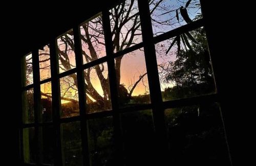 Escazu Apartment | Cozy Rainforest Cabin in Escazu - Pet Friendly Retreat