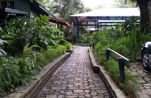 Nasinu Hotel | Eco-Friendly Rainforest Lodge with Pool & Family Dining