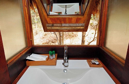 Perumbavoor Resort | Rainforest