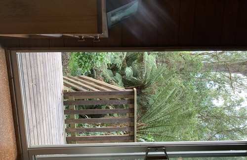 Skenes Creek North Cottage | Serene Rainforest Retreat Near Beach & Cape Otway Park