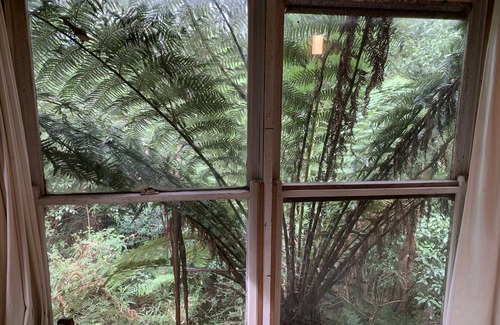 Skenes Creek North Cottage | Serene Rainforest Retreat Near Beach & Cape Otway Park