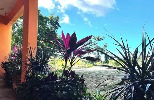 Guzman Arriba Apartment | Idyllic Rainforest Retreat with Ocean Views and Family-Friendly Perks