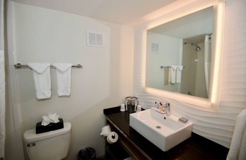 Franklin Park Hotel | Book Ramada by Wyndham Austin South: Pool & Spa Retreat
