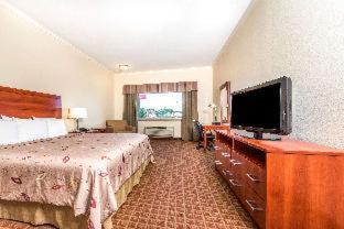 College Station Hotel | Discover Ramada by Wyndham College Station with Pool & Breakfast