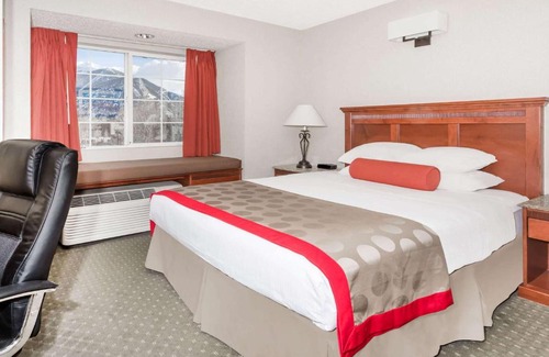 Frisco Hotel | Pet-Friendly Retreat at Ramada by Wyndham Frisco