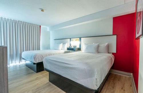Kingston Hotel | Pet-Friendly Retreat at Ramada by Wyndham Kingston