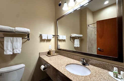 College Station Hotel | Top-Rated Ramada by Wyndham College Station with Pool & Breakfast