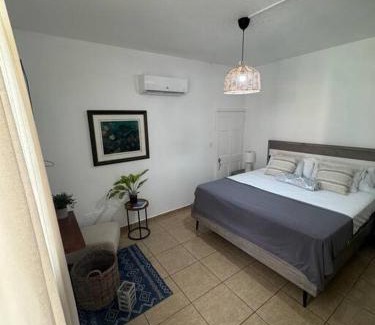 Maleza Baja Apartment | Ramey Loft 3