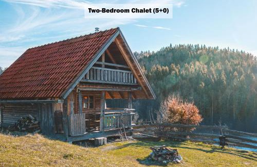 Vojnik House | Discover Ranch at Geta: Pet-Friendly Retreat with Kitchen