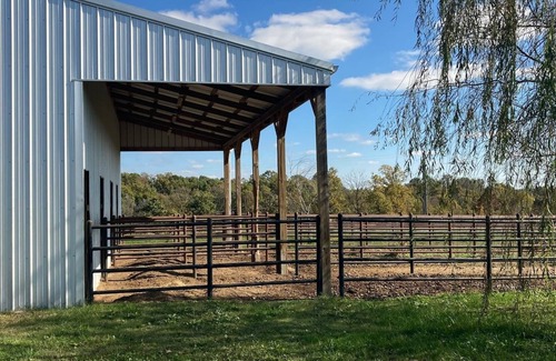 Siloam Springs House | Family-Friendly Getaway at Ranch with Bronco & Betsey