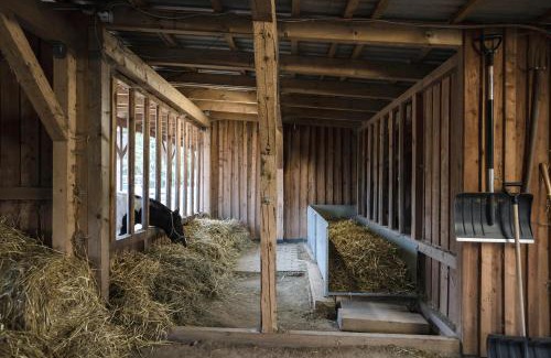 Elterlein House | Experience the Ranchhouse Bubble: Pet-Friendly Oceanfront Retreat