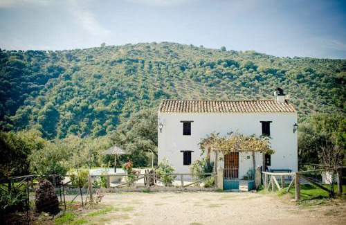 Prado del Rey House | Pet-Friendly Getaway at Rancho Calvillo - Rated 9.1/10!