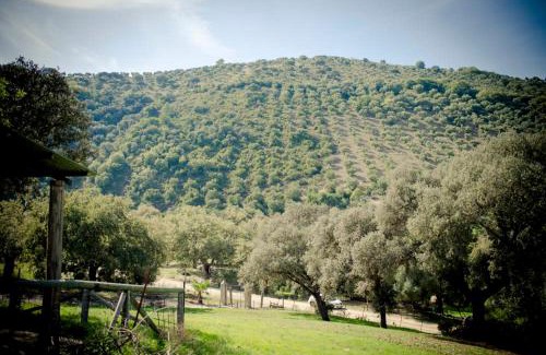 Prado del Rey House | Pet-Friendly Getaway at Rancho Calvillo - Rated 9.1/10!