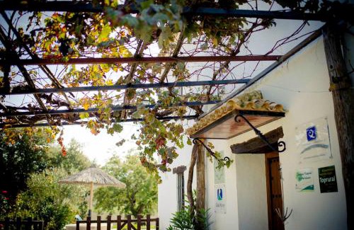 Prado del Rey House | Pet-Friendly Getaway at Rancho Calvillo - Rated 9.1/10!