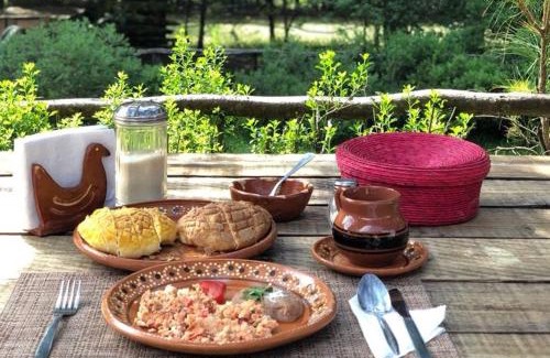 Ocampo Hotel | Pet Friendly Retreat: Rancho Cumbre Monarca Awaits You