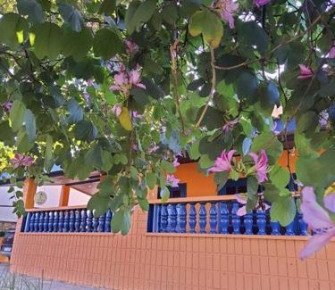 Paranapanema House | Discover Rancho do Roque Bravo: Oceanfront Pet-Friendly Getaway