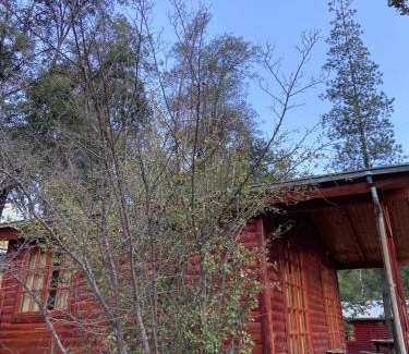 San Alfonso Cabin | Idyllic Rancho el Chilcal: River View Cabañas Await You