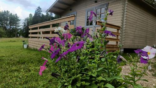 Suuresadama Apartment | Family-Friendly Stay at Rangi Suvemaja - Rated 9.2/10