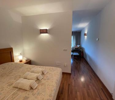 Ransol Apartment | Ransol Studios: Ski Access with Family & Pet-Friendly Options