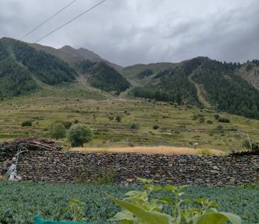 Rajnandgaon Other | Rao cottage