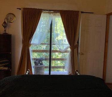 Pucon Apartment | Riverside Retreat in Pucon: Guest Rated 10/10 for Families