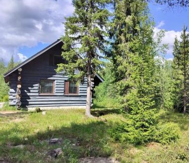 Yllasjarvi Apartment | Stylish Rapula: 1 Bedroom Apartment with Loft Space