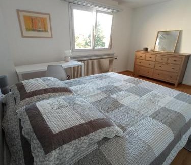 Colmar Centre Ville Apartment | Discover Appartement Champ de Mars with Park Views in Colmar