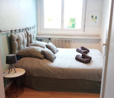 Colmar Centre Ville Apartment | Discover Appartement Champ de Mars with Park Views in Colmar
