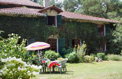 Sos House | Unique Forest Retreat with Private Pool & Swimming Lake