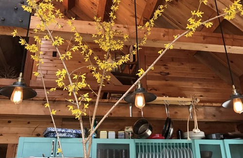 Baptistown Cabin | Secluded Cabin Retreat with Pet-Friendly Amenities