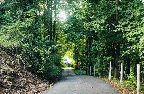 Stanley House | Pet-Friendly Raspberry Retreat with Breakfast & Hot Tub