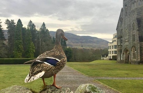 Fort Augustus Apartment | Raven Wing 11: Top-Rated Highland Club with Pool & Kitchen