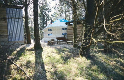 Glandyfi Other | Experience Raven Yurt - Guest Rated 10/10 at Yurtopia