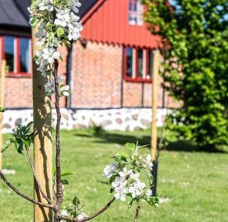 Kivik House | Ravlunda Byaväg 12: Family-Friendly Comfort with Breakfast