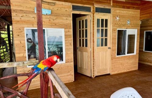 Bocachica House | Oceanfront Getaway at Raw KokoMar PosadaNativa