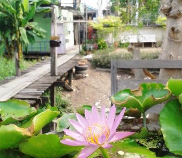 Ayutthaya Bed & Breakfast | Affordable Family Stay at Ray Nu Guest House with Great Reviews