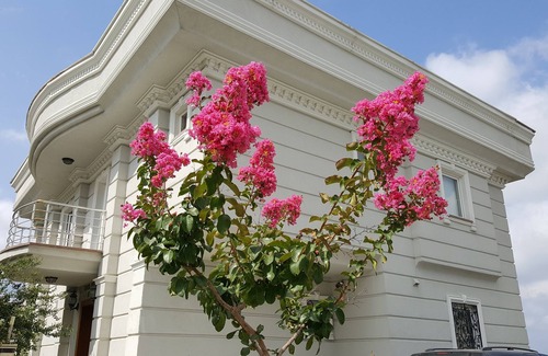 Buyukcekmece Villa | Stunning Sea View Villa with Pool in City Center