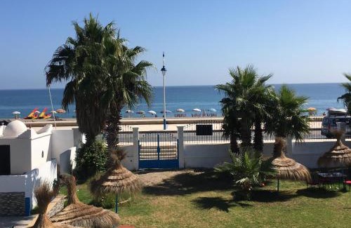 Amsa House | Discover Rayani Maison d'Hôtes: Pet-Friendly Oceanfront Retreat