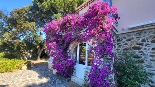 Le Rayol Apartment | Oceanfront Hotel with Garden, AC & Steps to the Beach