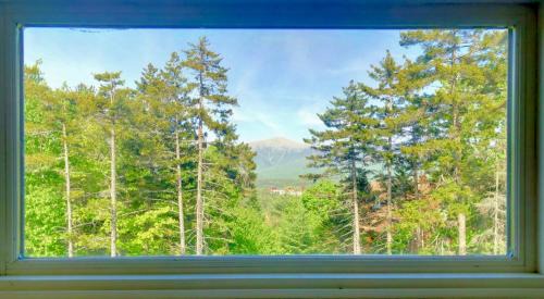 Bretton Woods House | RB24 Renovated AC Ski-in out Bretton Woods Townhome