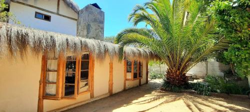 Zapallar House | Idyllic Casa en Zapallar with Ocean View & Pet-Friendly Garden
