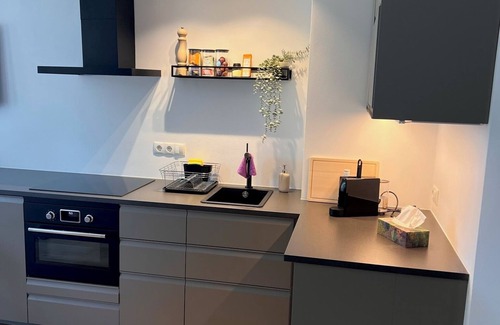 Old Town Apartment | Stylish Apartment Near Beethovenhalle with Parking Options
