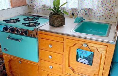 Woods Bay House | Real Vintage Camper Flathead Lake Beach Pets yes!
