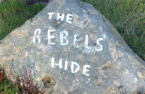 Penrith Bed & Breakfast | Rebels Hide: Pet-Friendly Rooms with Self Check-In